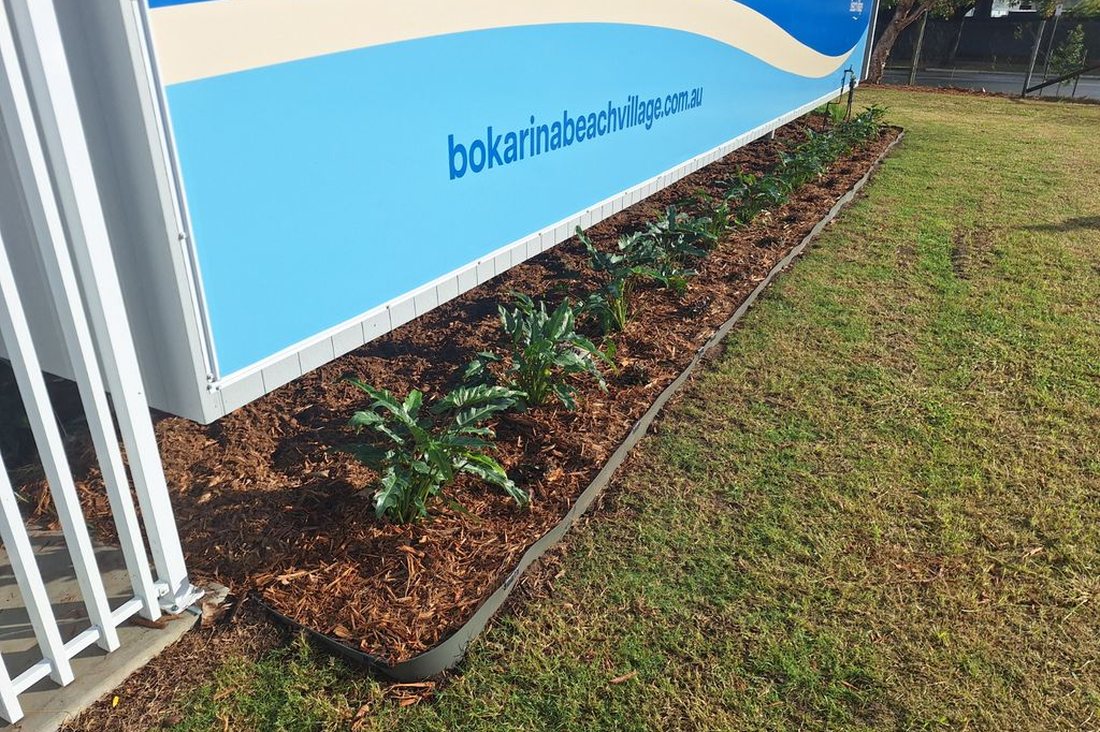 Bokarina Beach Village — finished planter bed of established strelitzia in front of the marketing display trailer
